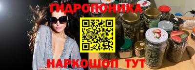 Альфа ПВП Кимры