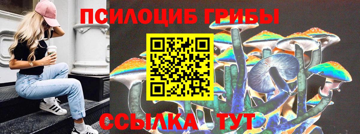Тула  Галлюциногенные грибы MAGIC MUSHROOMS  купить наркотик  Вход с VPN 